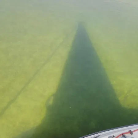 Dom Letni Βίλα *